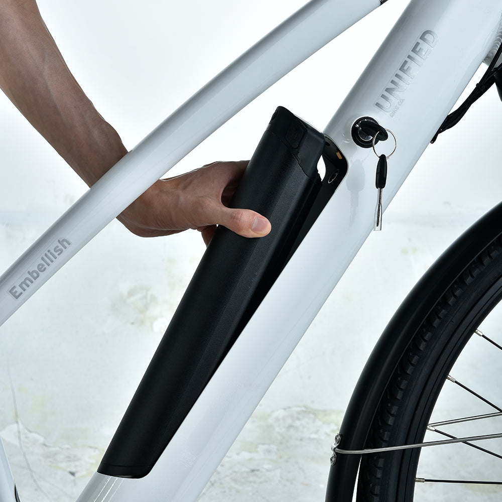 UBC Integrated Battery Pack – Unified Bike Company